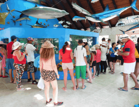 Oceanario en Cartagena