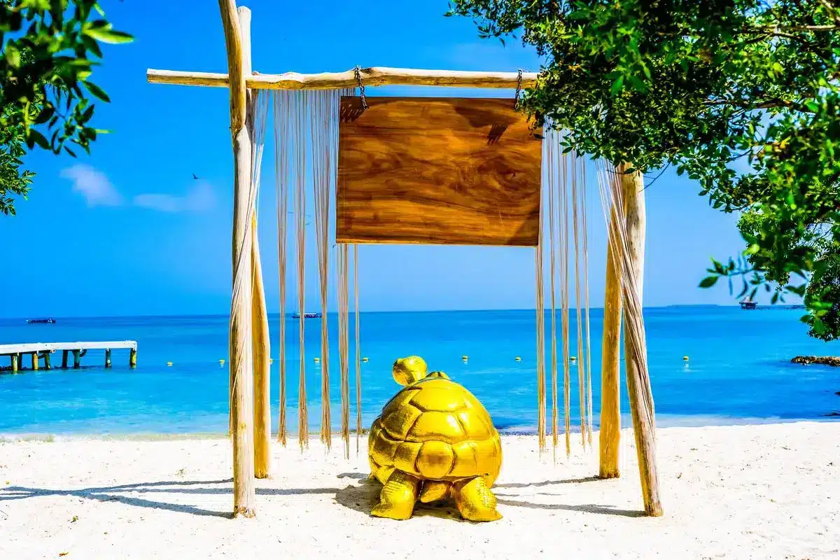 Pao Pao Beach Club - Image 6